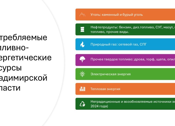 Разработка прогнозного топливно-энергетического баланса и схемы газоснабжения Владимирской области