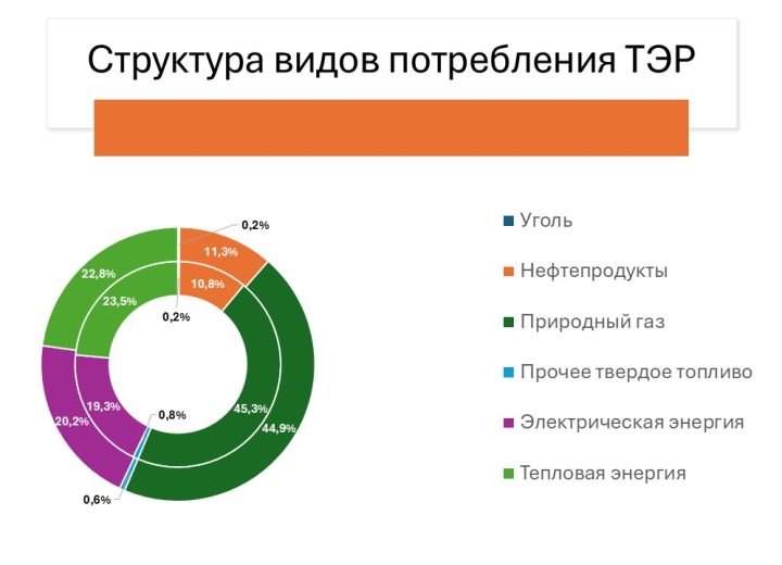 Разработка прогнозного топливно-энергетического баланса и схемы газоснабжения Владимирской области