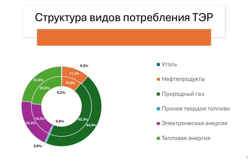 Разработка прогнозного топливно-энергетического баланса и схемы газоснабжения Владимирской области